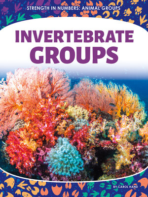 cover image of Invertebrate Groups